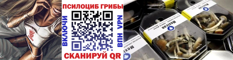 Галлюциногенные грибы мицелий  Купить закладки  Рассказово 